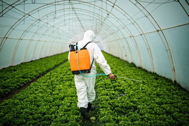 Pest Control Cost in Rayne, LA