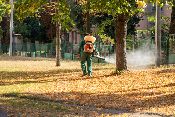 Reliable Rayne, LA Pest Control Solutions