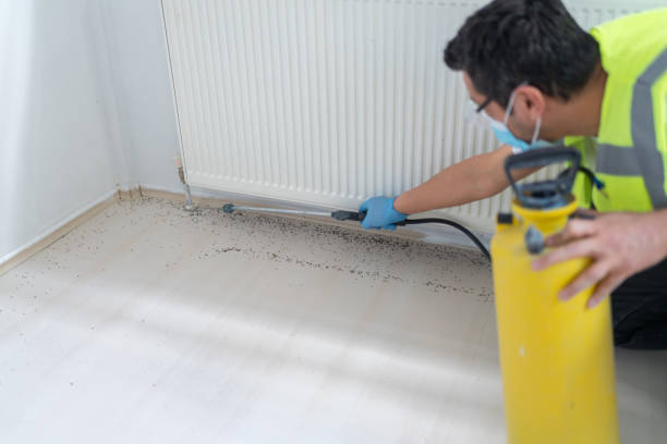 Best Ant Control Services  in Rayne, LA