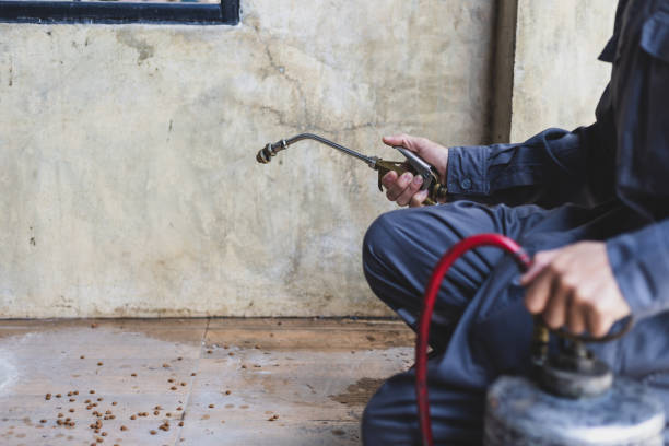 Pest Prevention Services in Rayne, LA